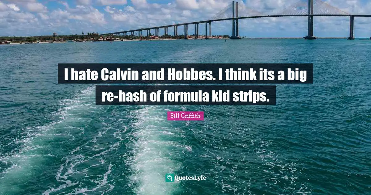 I hate Calvin and Hobbes. I think its a big re-hash of formula kid strips.