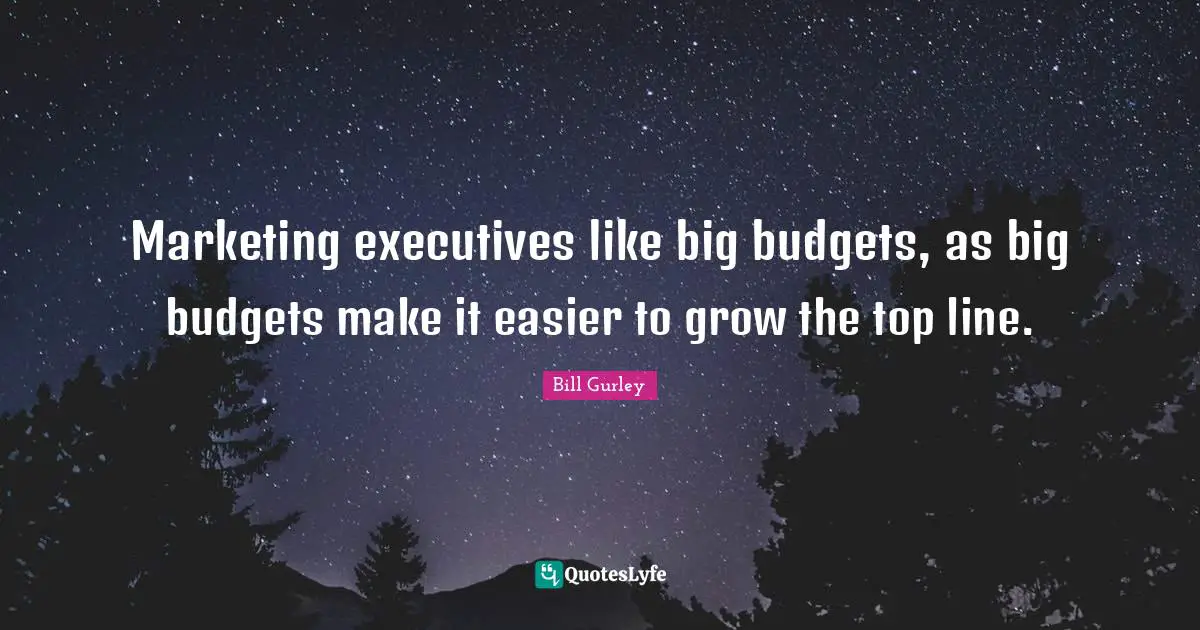 Marketing executives like big budgets, as big budgets make it easier to grow the top line.