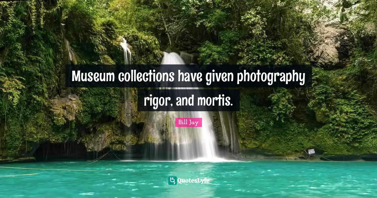Museum collections have given photography rigor, and mortis.