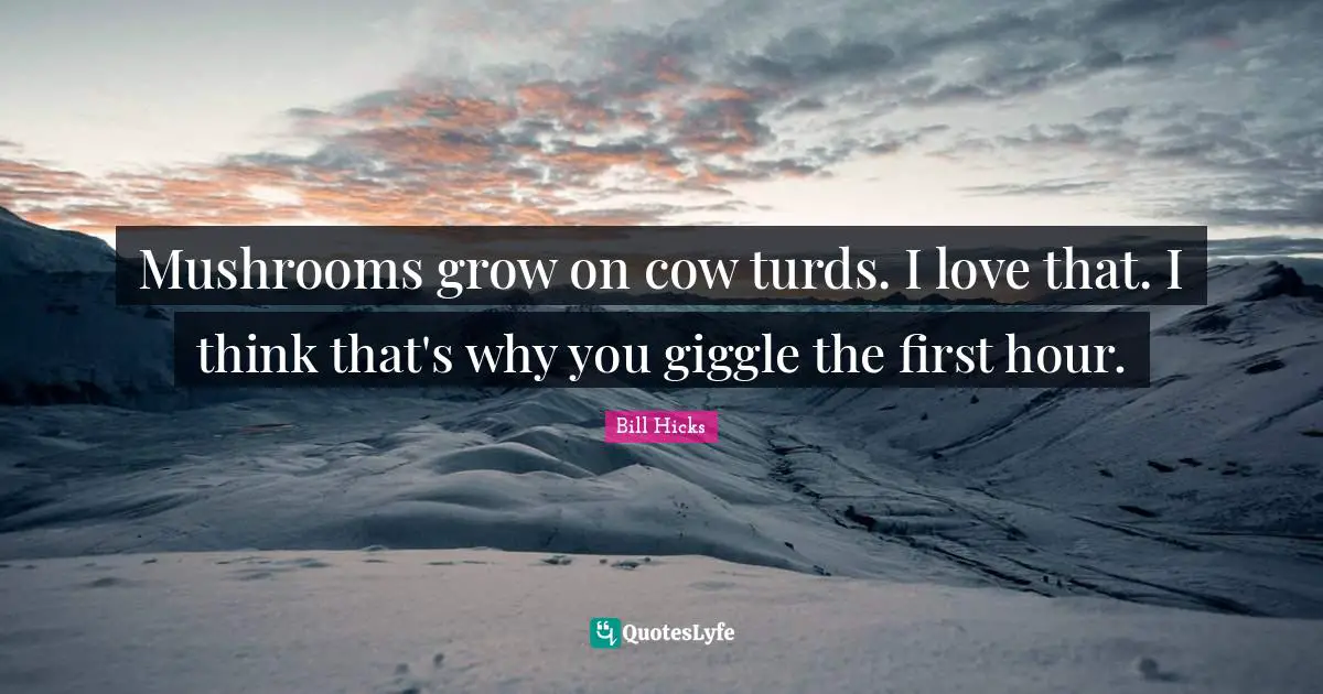 Mushrooms grow on cow turds. I love that. I think that's why you giggle the first hour.