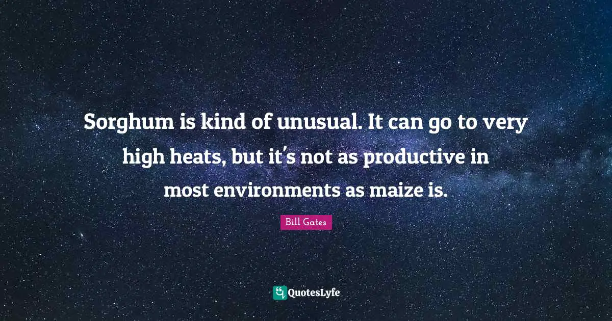 Sorghum is kind of unusual. It can go to very high heats, but it's not as productive in most environments as maize is.