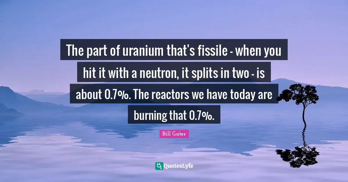 The part of uranium that's fissile - when you hit it with a neutron, it splits in two - is about 0.7%. The reactors we have today are burning that 0.7%.