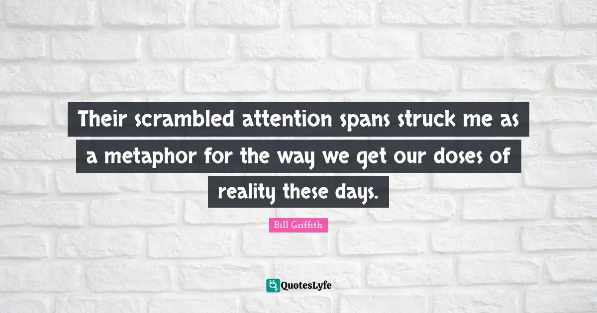 Their scrambled attention spans struck me as a metaphor for the way we get our doses of reality these days.