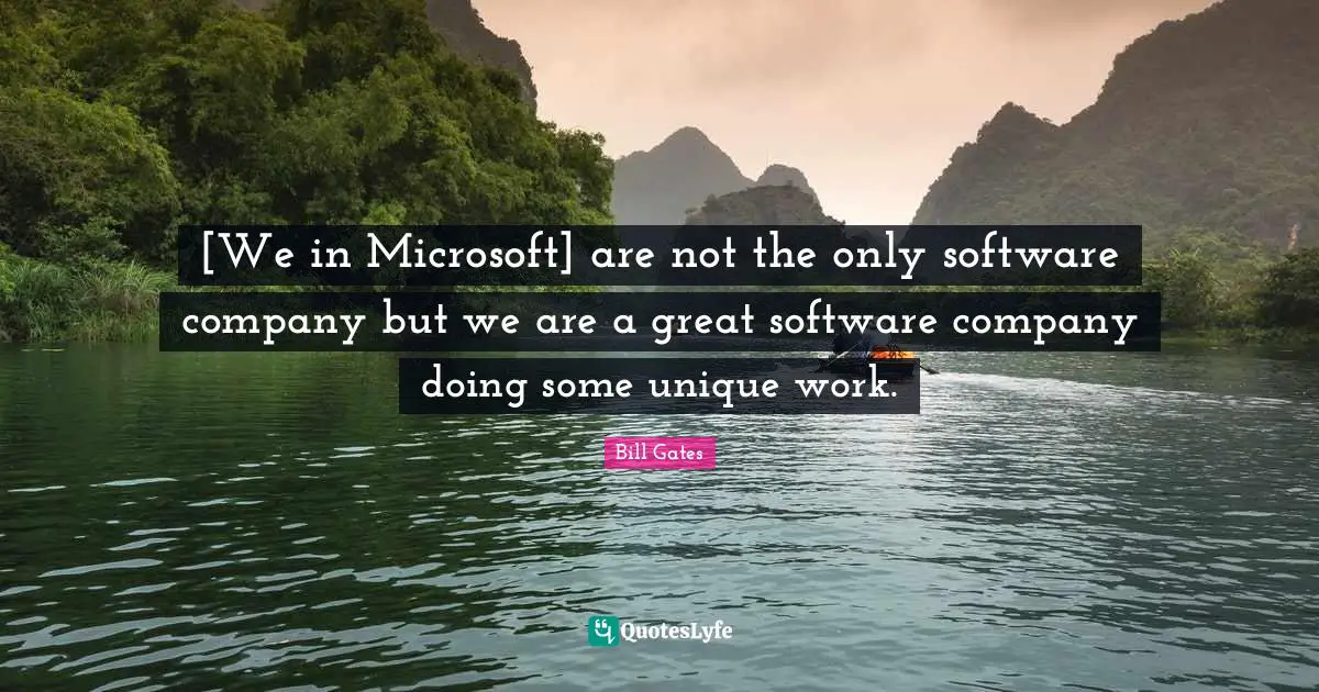 [We in Microsoft] are not the only software company but we are a great software company doing some unique work.