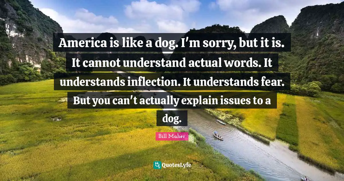 America is like a dog. I'm sorry, but it is. It cannot understand actual words. It understands inflection. It understands fear. But you can't actually explain issues to a dog.