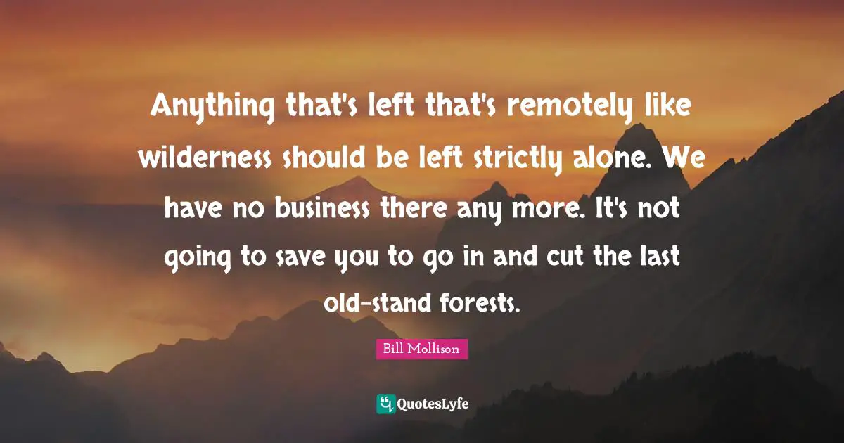 Anything that's left that's remotely like wilderness should be left strictly alone. We have no business there any more. It's not going to save you to go in and cut the last old-stand forests.