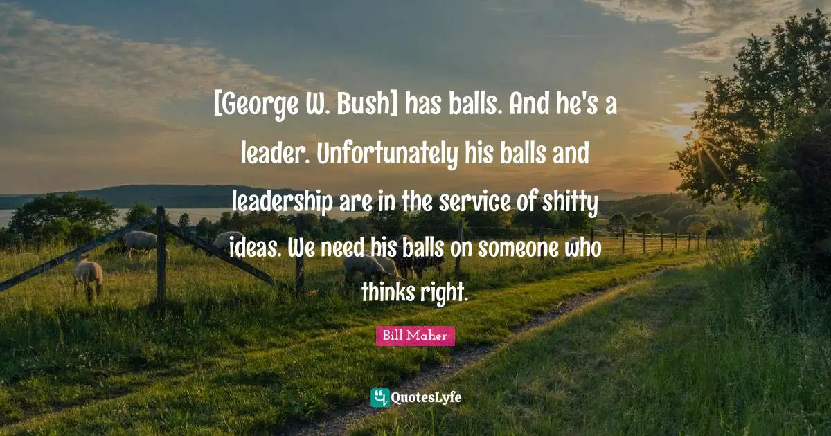 [George W. Bush] has balls. And he's a leader. Unfortunately his balls and leadership are in the service of shitty ideas. We need his balls on someone who thinks right.