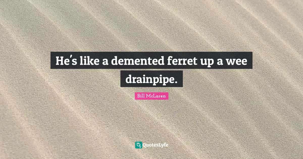 He's like a demented ferret up a wee drainpipe.