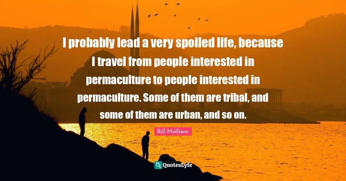 I probably lead a very spoiled life, because I travel from people interested in permaculture to people interested in permaculture. Some of them are tribal, and some of them are urban, and so on.