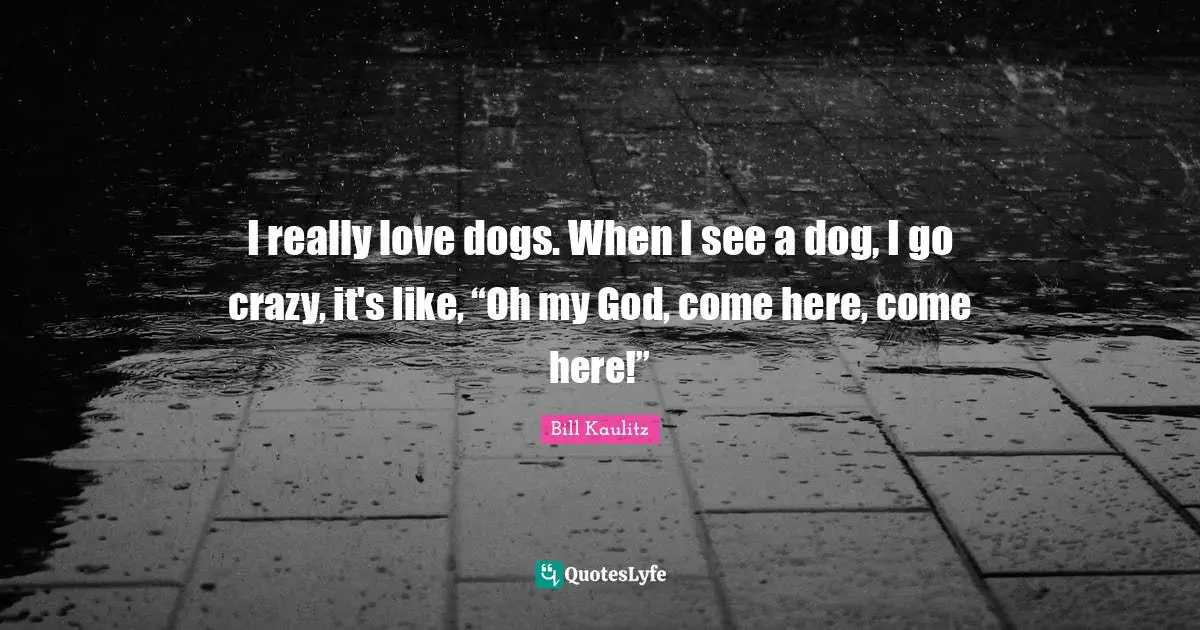 Bill Kaulitz Quotes: "I really love dogs. When I see a dog, I go crazy, it's like, “Oh my God, come here, come here!”"