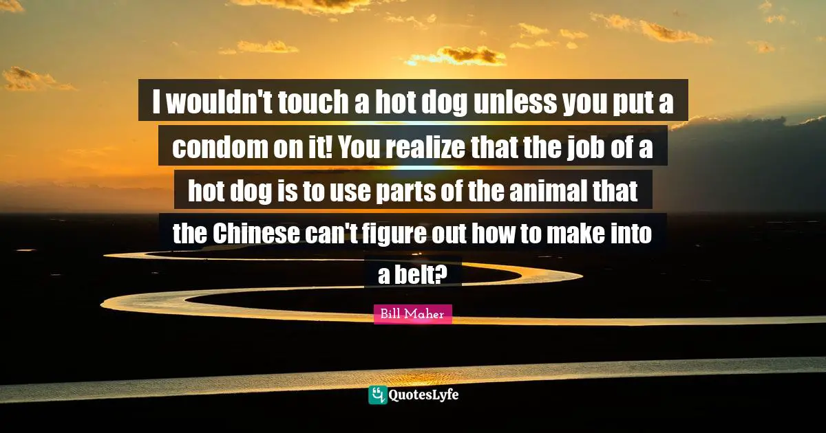 I wouldn't touch a hot dog unless you put a condom on it! You realize that the job of a hot dog is to use parts of the animal that the Chinese can't figure out how to make into a belt?