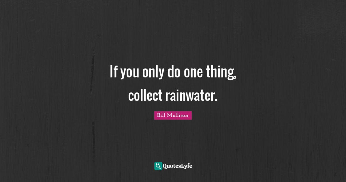 If you only do one thing, collect rainwater.