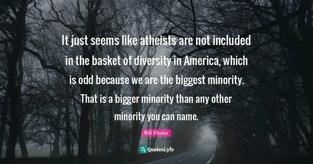 It just seems like atheists are not included in the basket of diversity in America, which is odd because we are the biggest minority. That is a bigger minority than any other minority you can name.
