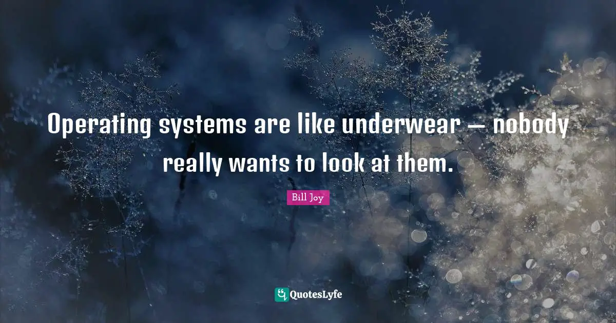 Underwear Quotes: "Operating systems are like underwear — nobody really wants to look at them."