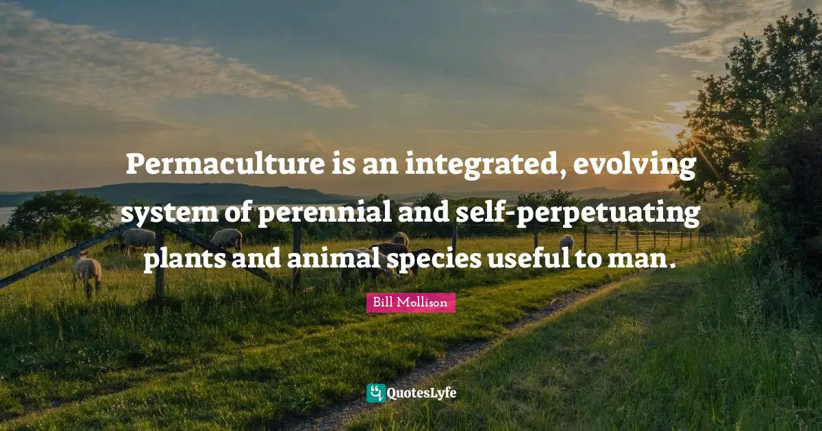 Integrated Quotes: "Permaculture is an integrated, evolving system of perennial and self-perpetuating plants and animal species useful to man."