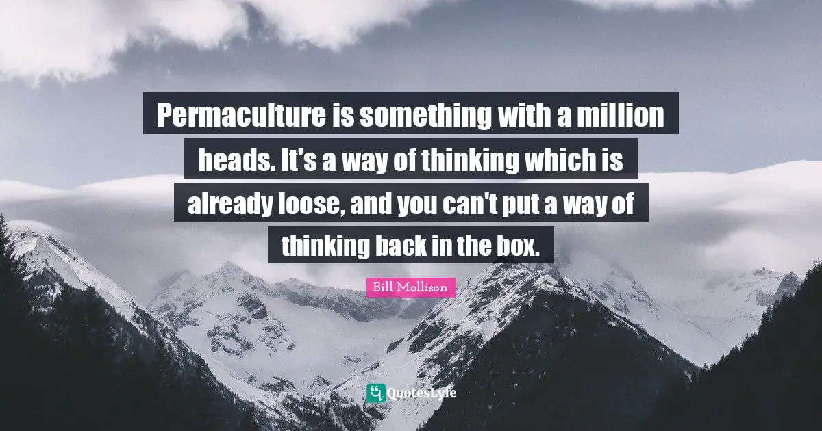 Permaculture is something with a million heads. It's a way of thinking which is already loose, and you can't put a way of thinking back in the box.