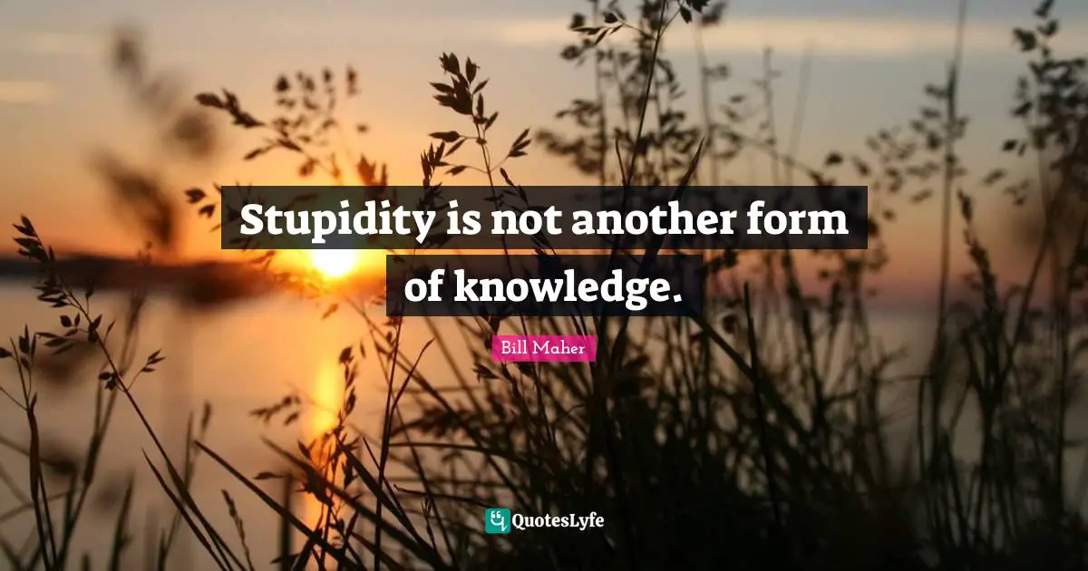 Stupidity is not another form of knowledge.