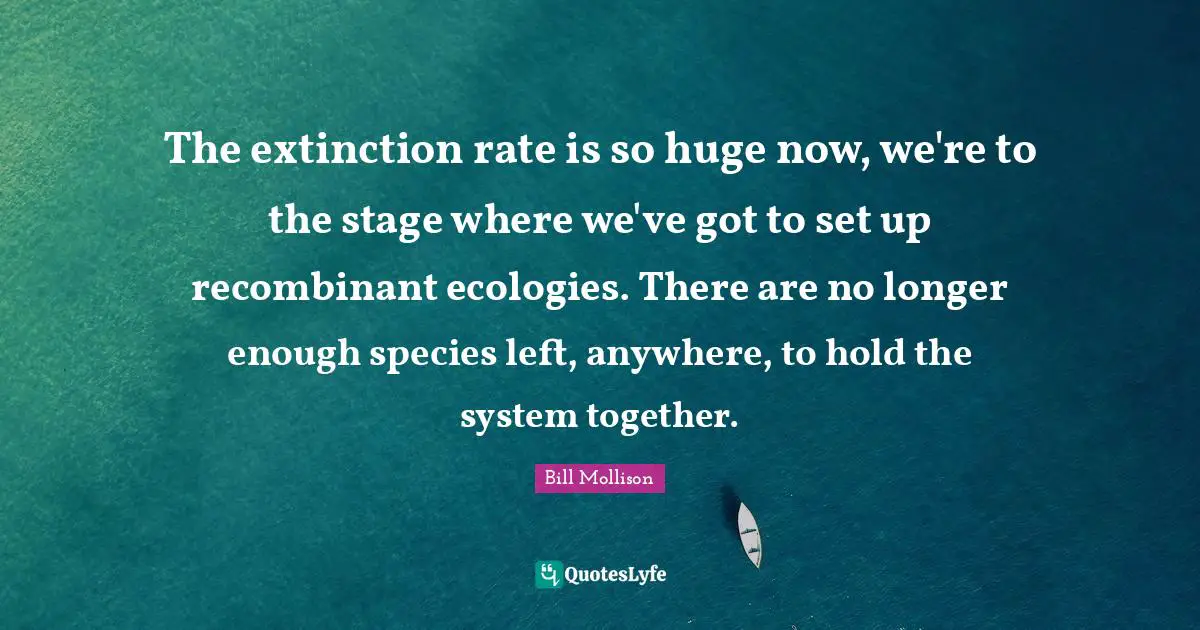 The extinction rate is so huge now, we're to the stage where we've got to set up recombinant ecologies. There are no longer enough species left, anywhere, to hold the system together.