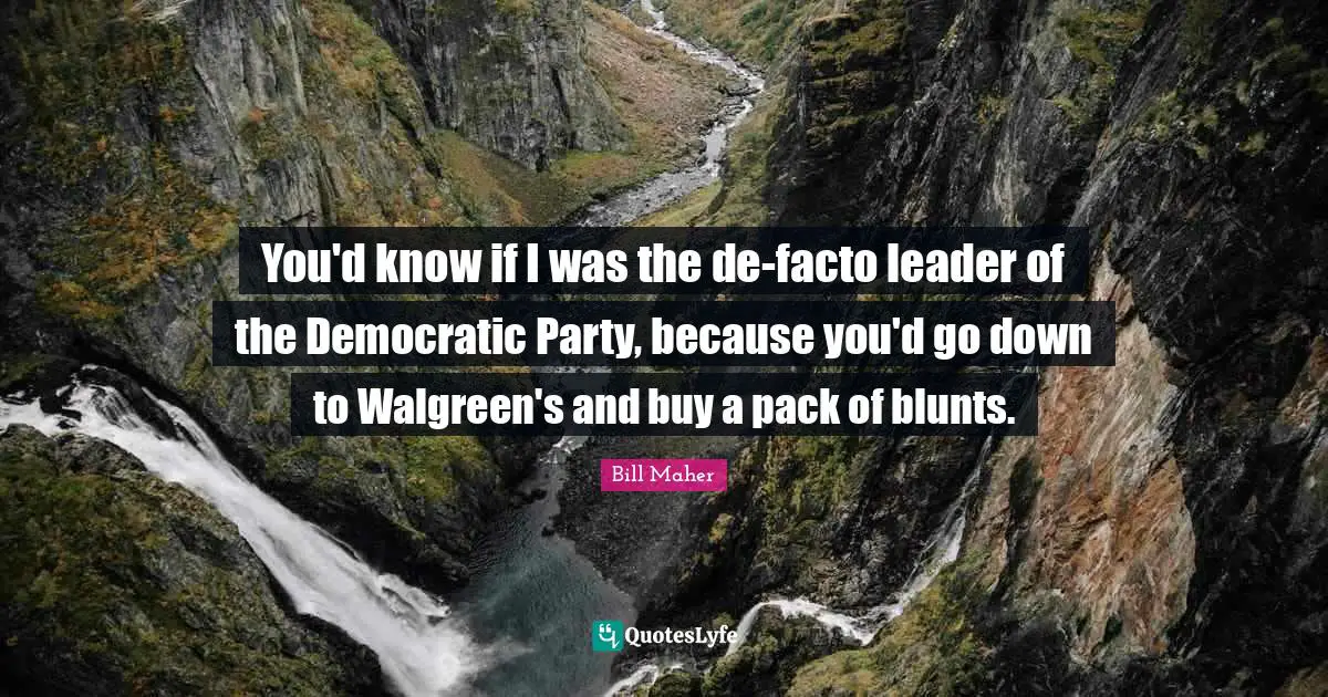 You'd know if I was the de-facto leader of the Democratic Party, because you'd go down to Walgreen's and buy a pack of blunts.