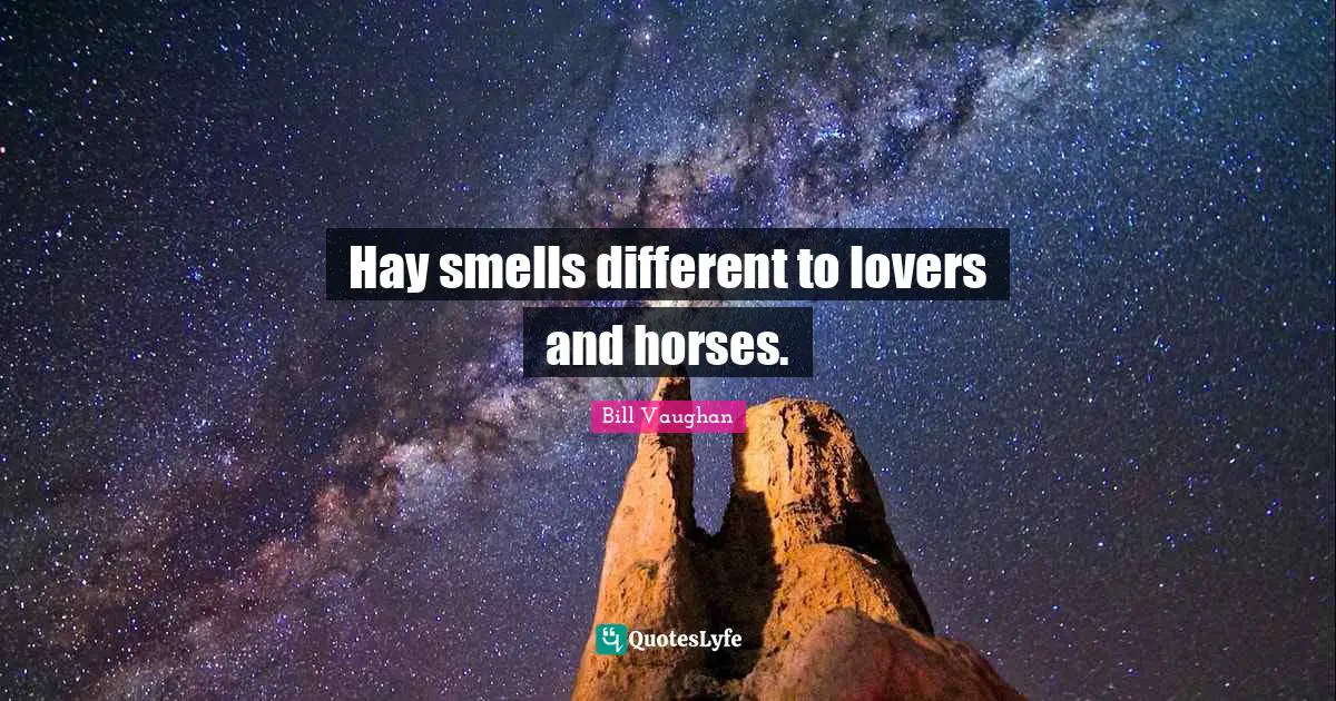 Hay smells different to lovers and horses.