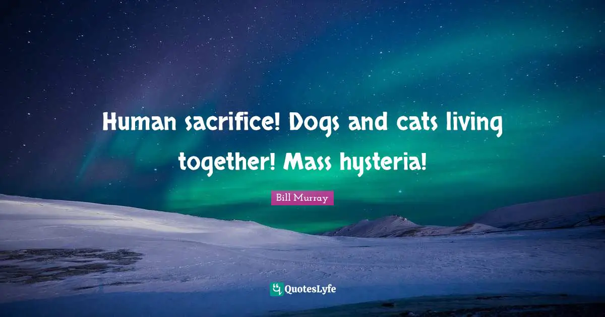 Bill Murray Quotes: "Human sacrifice! Dogs and cats living together! Mass hysteria!"
