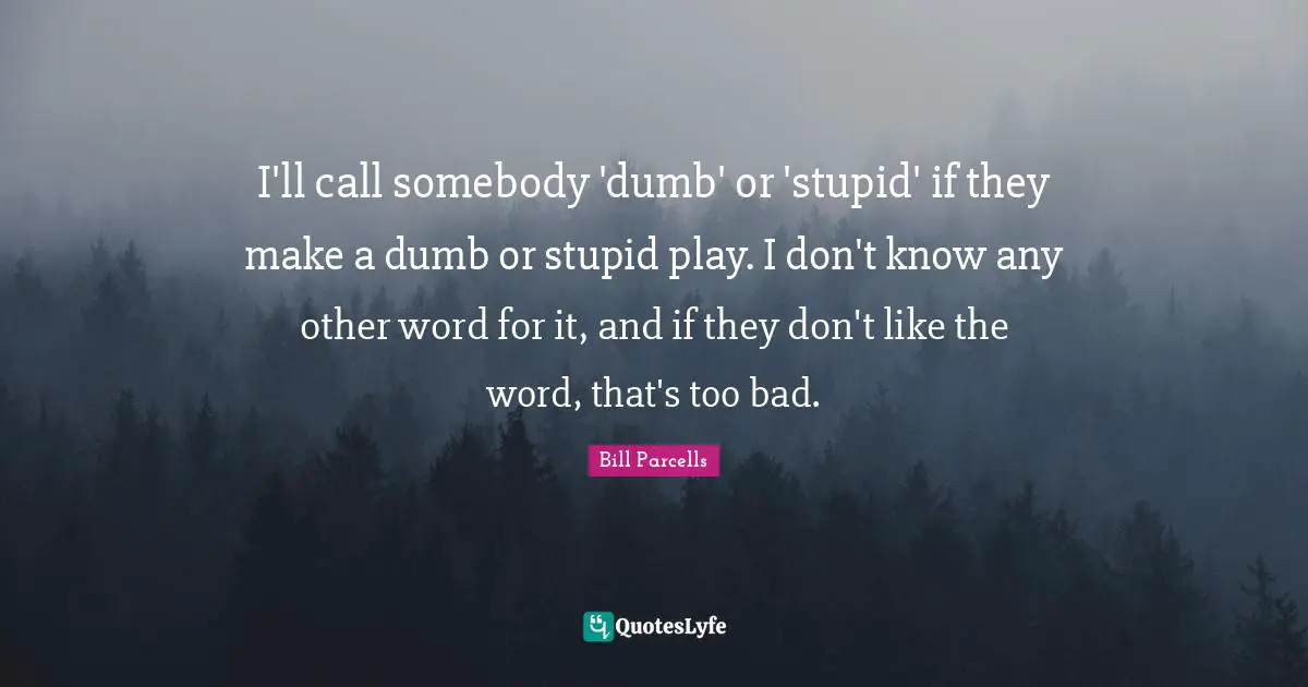 I'll call somebody 'dumb' or 'stupid' if they make a dumb or stupid play. I don't know any other word for it, and if they don't like the word, that's too bad.
