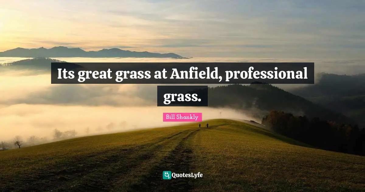 Anfield Quotes: "Its great grass at Anfield, professional grass."