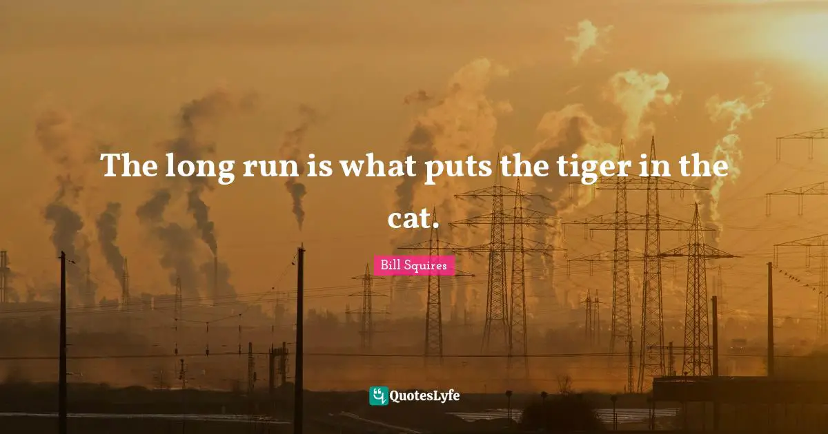The long run is what puts the tiger in the cat.