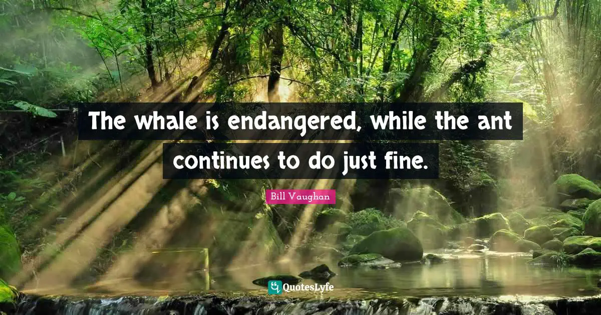 The whale is endangered, while the ant continues to do just fine.