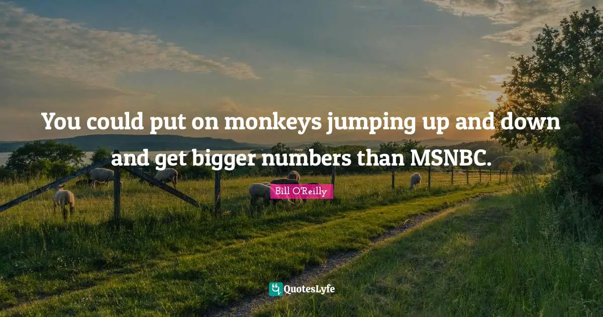Bill O'Reilly Quotes: "You could put on monkeys jumping up and down and get bigger numbers than MSNBC."