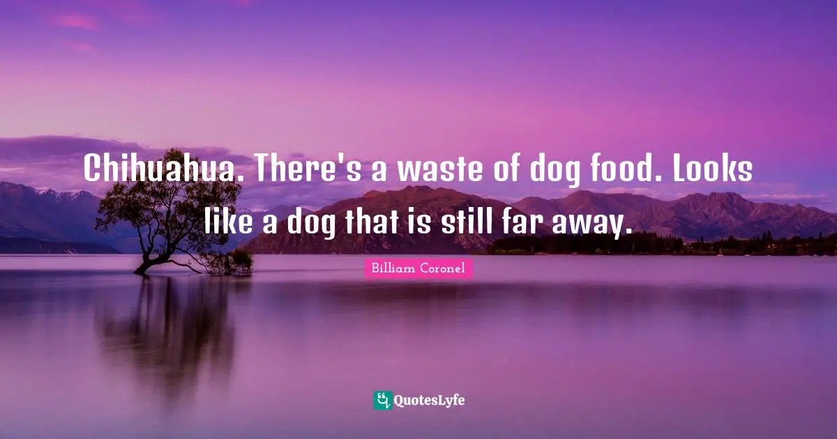 Comedian Quotes: "Chihuahua. There's a waste of dog food. Looks like a dog that is still far away."