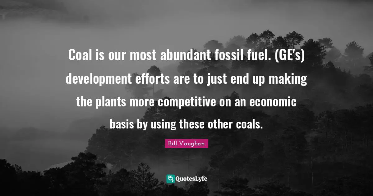 Coal is our most abundant fossil fuel. (GE's) development efforts are to just end up making the plants more competitive on an economic basis by using these other coals.