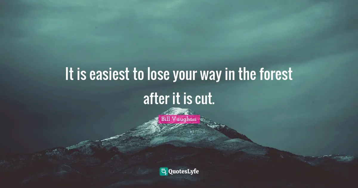 It is easiest to lose your way in the forest after it is cut.