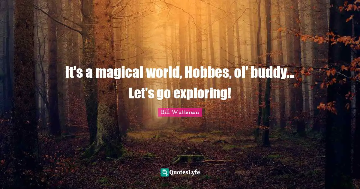 It's a magical world, Hobbes, ol' buddy... Let's go exploring!