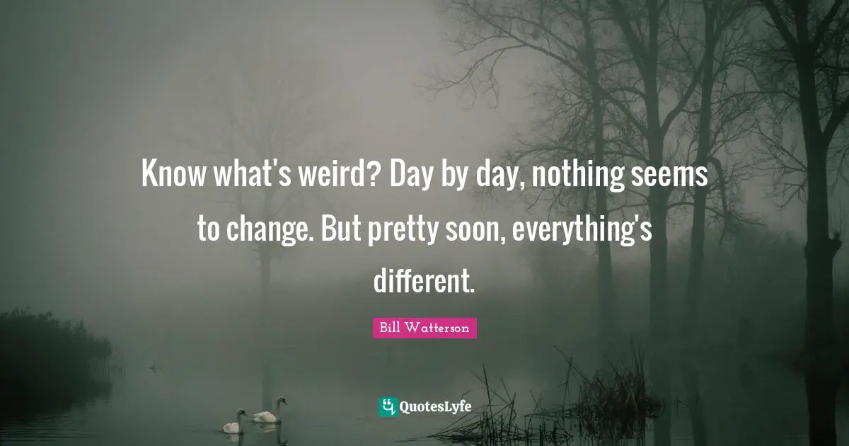 Know what's weird? Day by day, nothing seems to change. But pretty soon, everything's different.