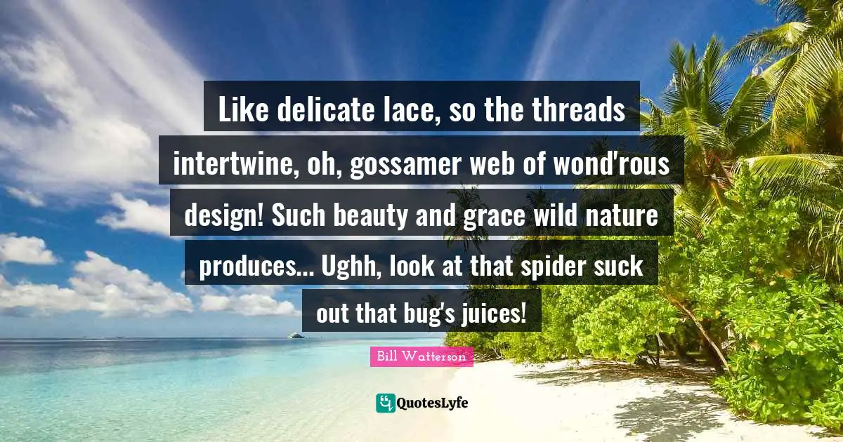 Lace Quotes: "Like delicate lace, so the threads intertwine, oh, gossamer web of wond'rous design! Such beauty and grace wild nature produces... Ughh, look at that spider suck out that bug's juices!"