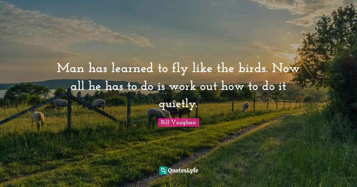 Man has learned to fly like the birds. Now all he has to do is work out how to do it quietly.