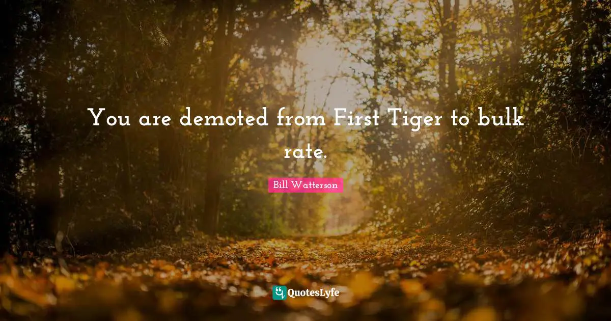 You are demoted from First Tiger to bulk rate.