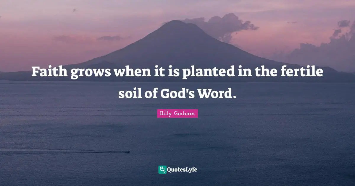 Faith grows when it is planted in the fertile soil of God's Word.