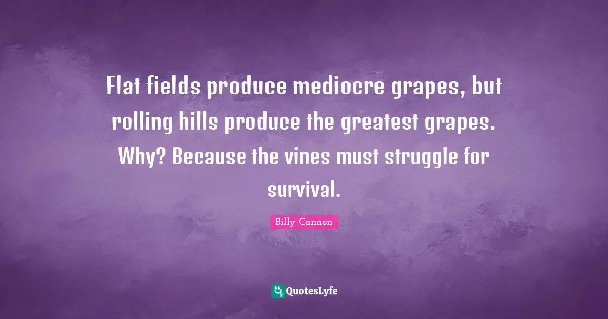 Vines Quotes: "Flat fields produce mediocre grapes, but rolling hills produce the greatest grapes. Why? Because the vines must struggle for survival."