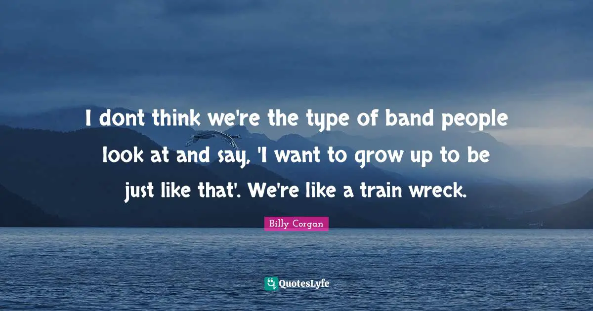 I dont think we're the type of band people look at and say, 'I want to grow up to be just like that'. We're like a train wreck.