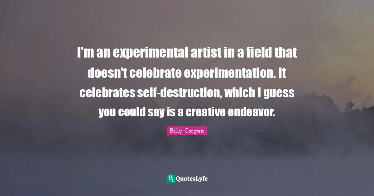 I'm an experimental artist in a field that doesn't celebrate experimentation. It celebrates self-destruction, which I guess you could say is a creative endeavor.