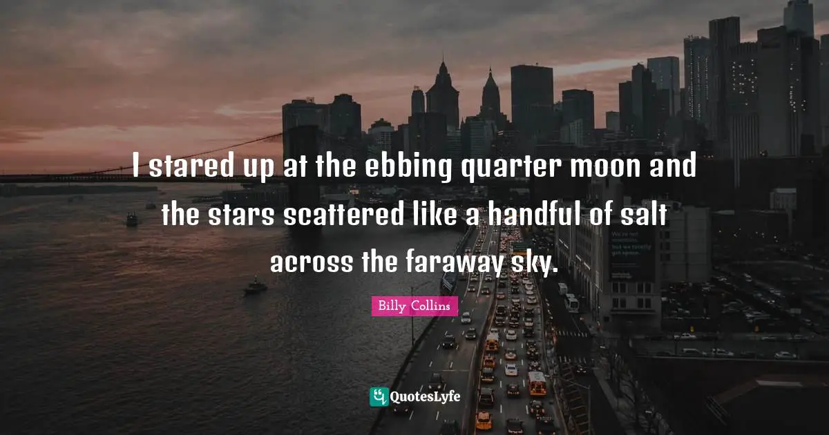 I stared up at the ebbing quarter moon and the stars scattered like a handful of salt across the faraway sky.