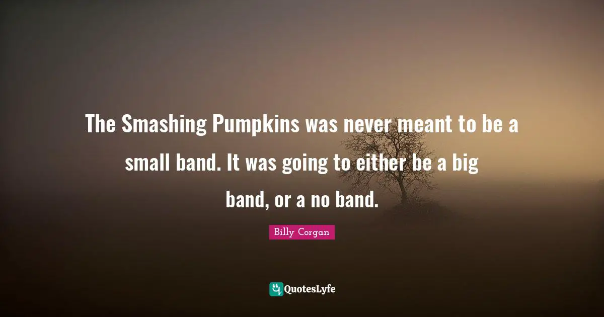 The Smashing Pumpkins was never meant to be a small band. It was going to either be a big band, or a no band.