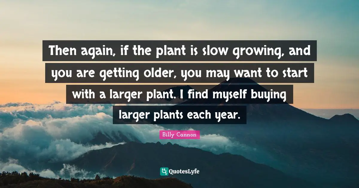 Then again, if the plant is slow growing, and you are getting older, you may want to start with a larger plant. I find myself buying larger plants each year.