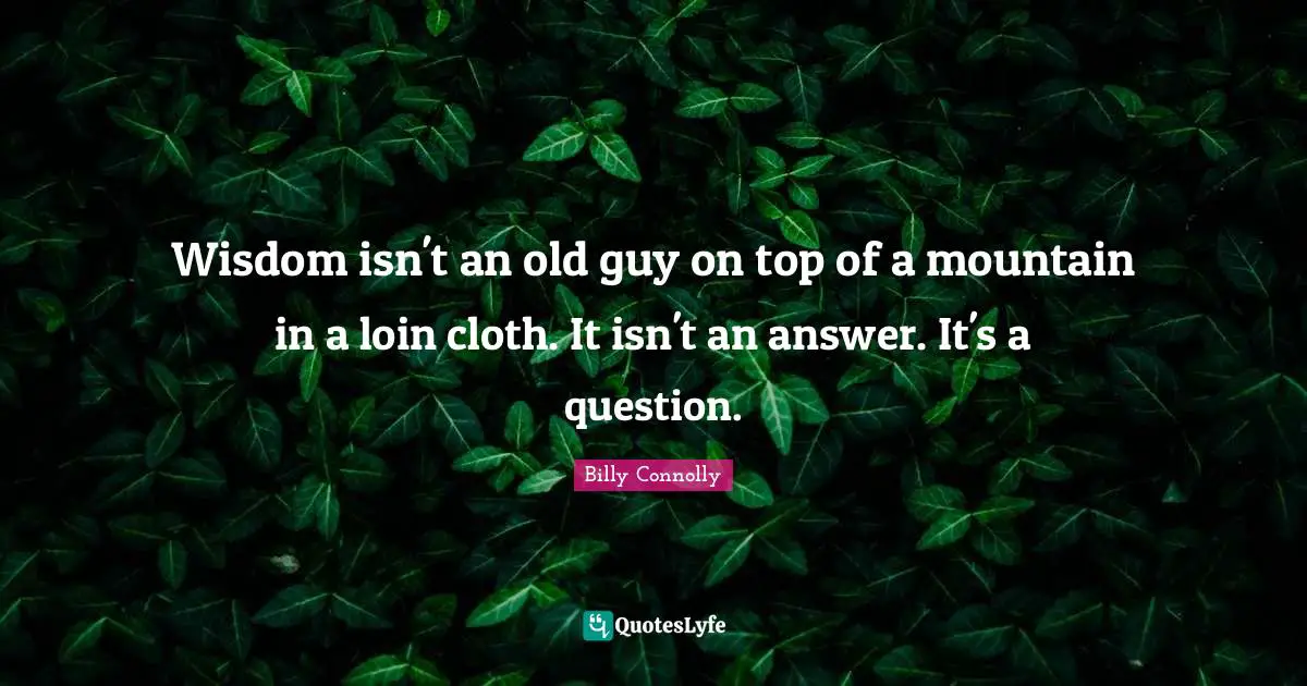 Wisdom isn't an old guy on top of a mountain in a loin cloth. It isn't an answer. It's a question.