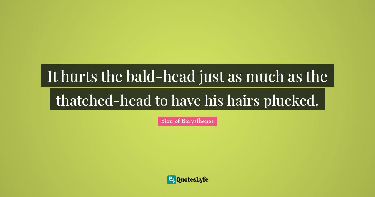 It hurts the bald-head just as much as the thatched-head to have his hairs plucked.