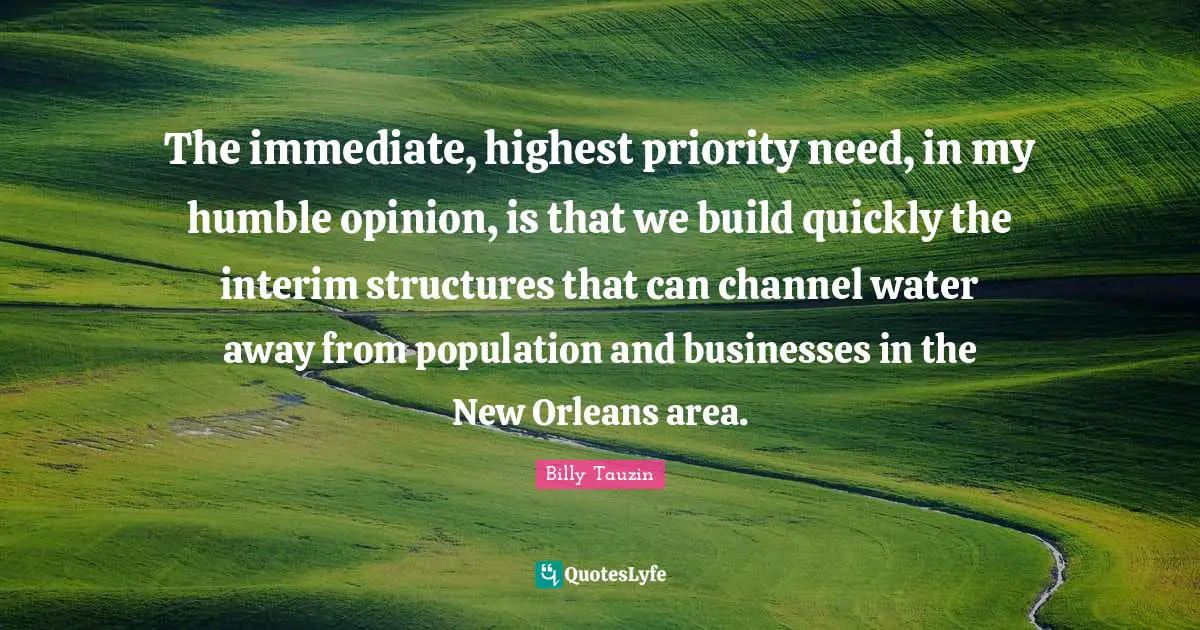 The immediate, highest priority need, in my humble opinion, is that we build quickly the interim structures that can channel water away from population and businesses in the New Orleans area.