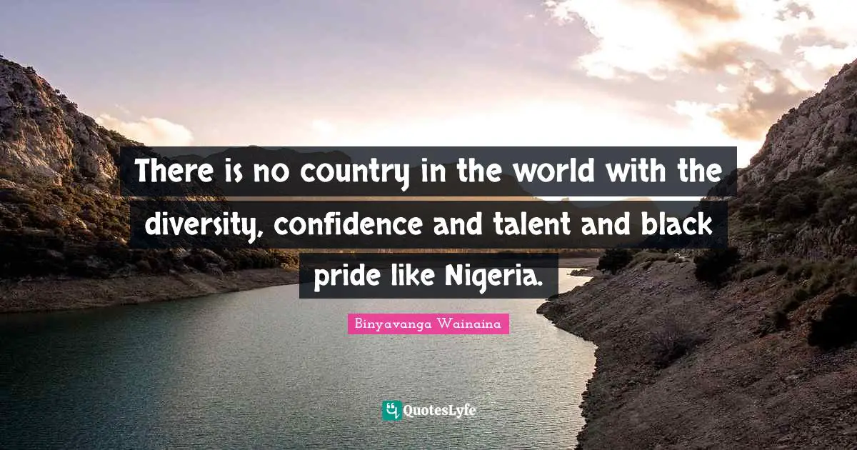 There is no country in the world with the diversity, confidence and talent and black pride like Nigeria.