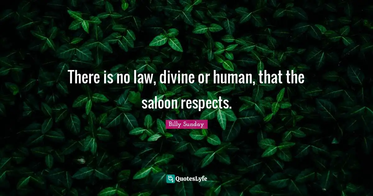 There is no law, divine or human, that the saloon respects.